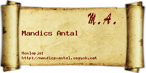 Mandics Antal névjegykártya