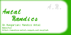 antal mandics business card